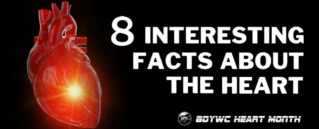 8 Interesting Facts About The Heart