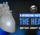 8 Interesting Facts About The Heart
